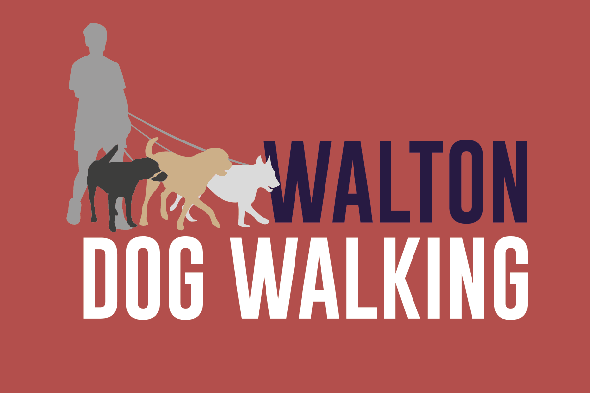 Tidal Studios | Branding & Logo Design | Walton Dog Walking
